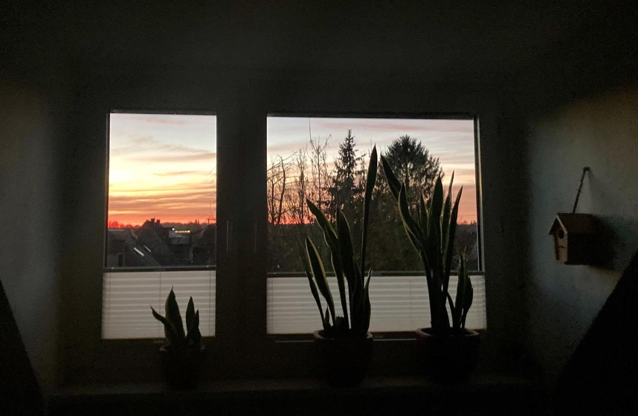 Ferienwohnung Amsel Essen Esterno foto